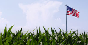 Solar-farms-property-rights