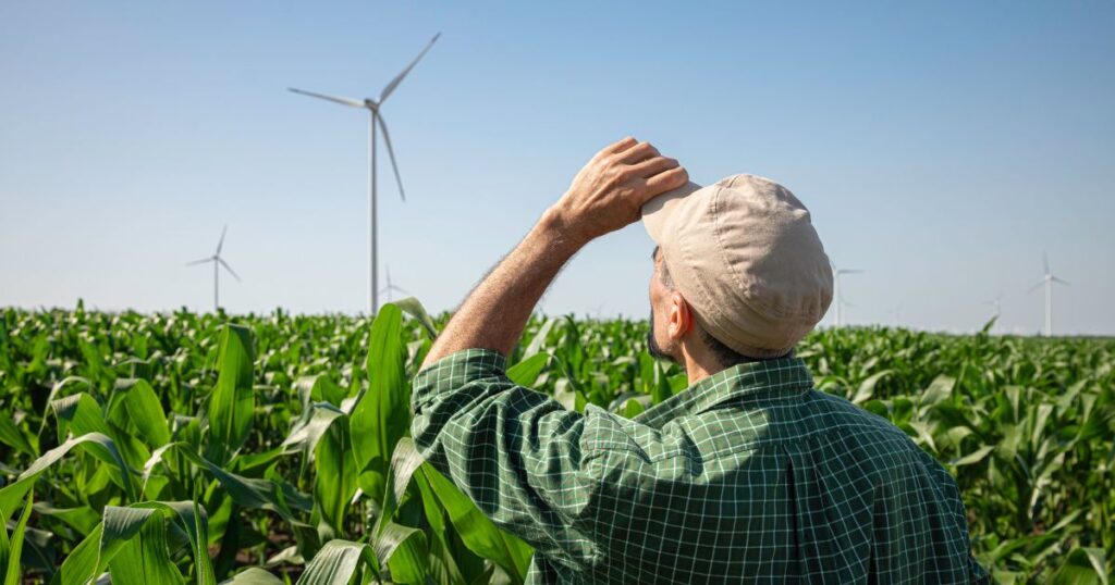 Farmer looking at wind turbines