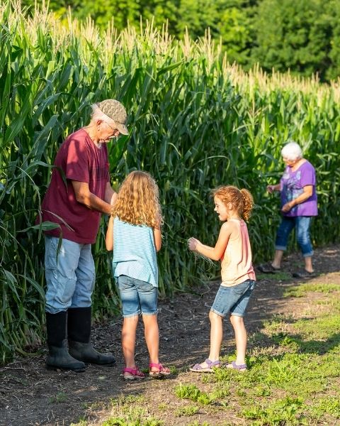 Grandparents with grandchildren at a corn field